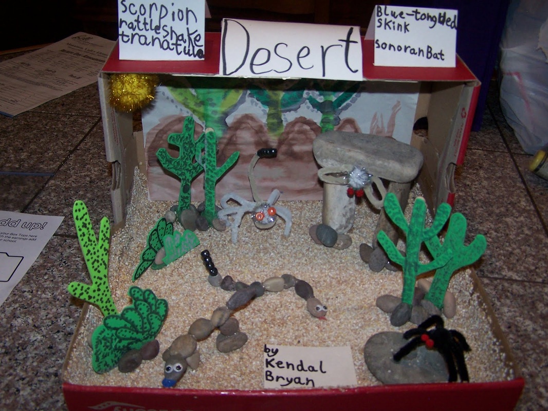 Rainforest Project Diorama Examples How To Class 406,Indian Cooking Images